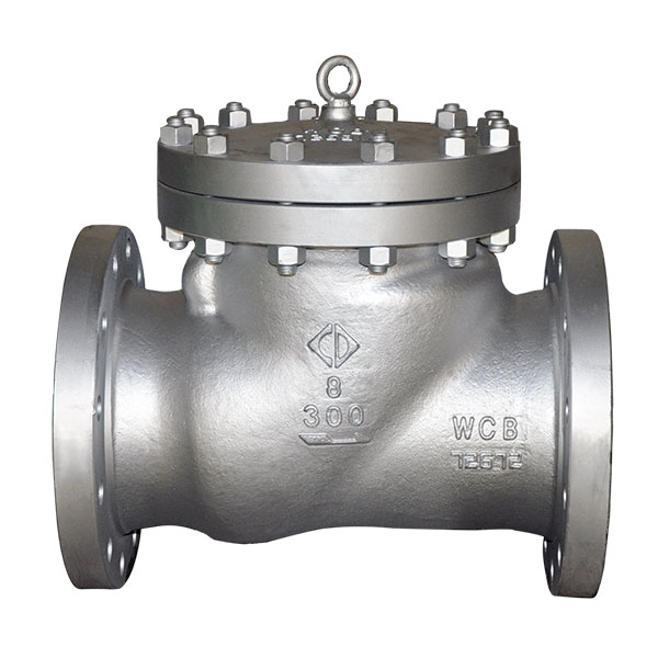 Check Valves – API Certified
