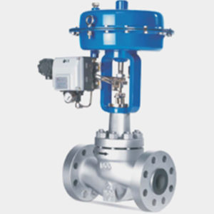 Dembla Globe Control Valve