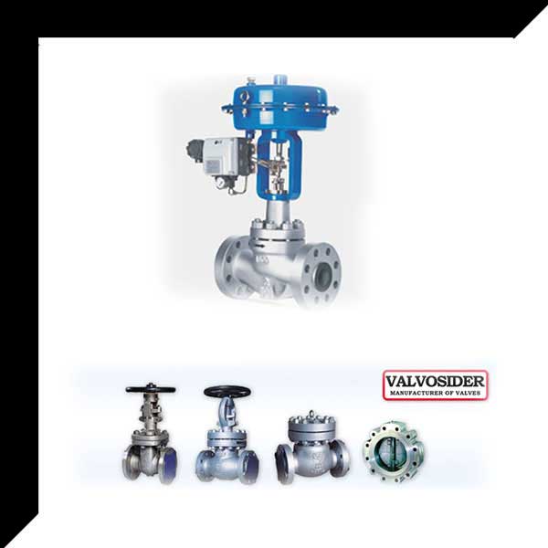 Globe Valves